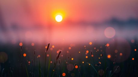 Experience the magic of a soft, dreamy sunset over a tranquil meadow in this captivating light art piece. Hazy atmosphere and