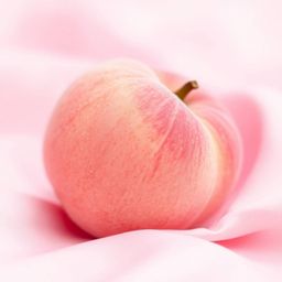 This symbolic traditional tattoo art print showcases a close-up ASMR image of a soft, blushing pink peach resting on silky pa