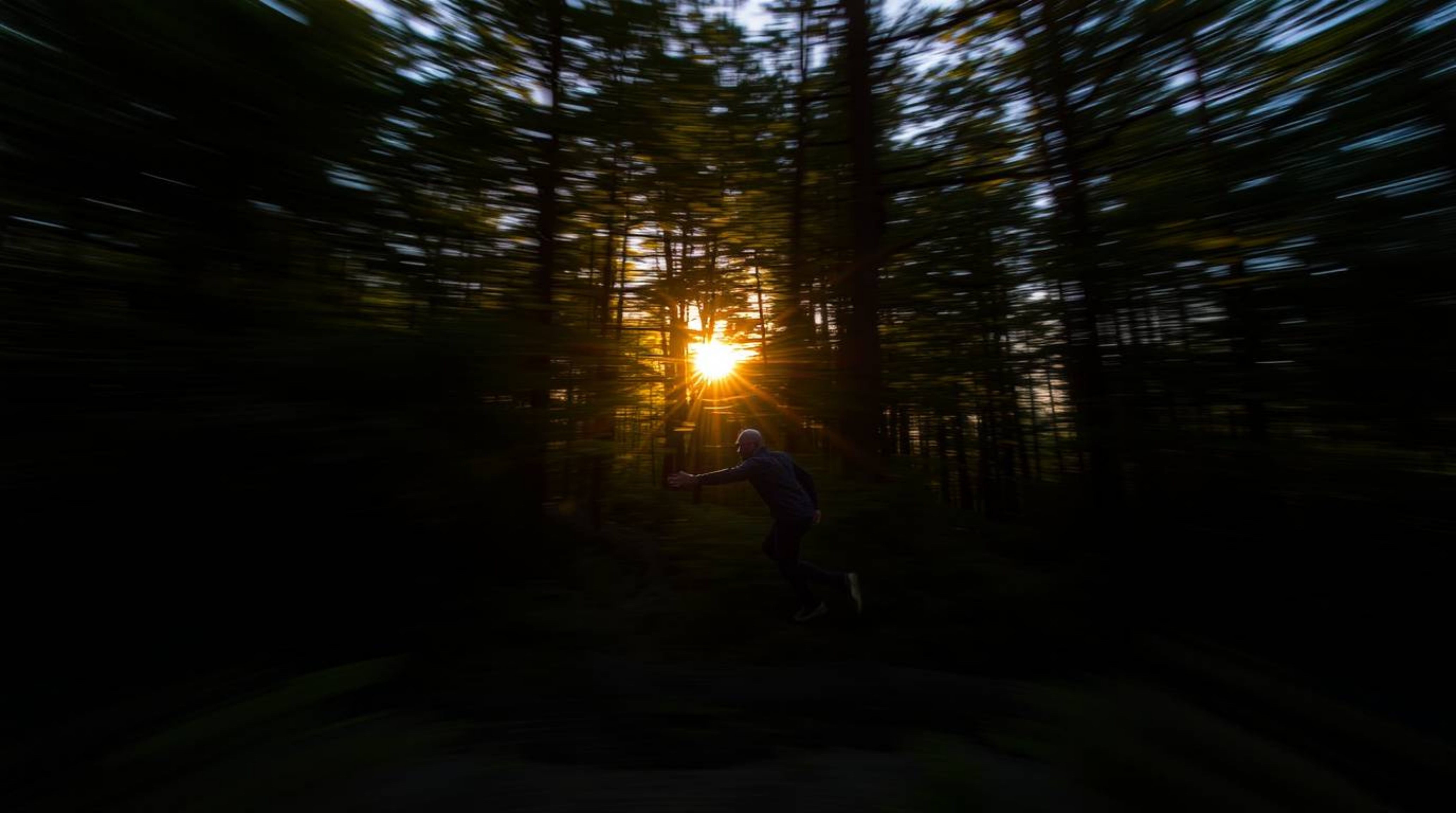 Experience the vibrant energy of a dynamic motion image showcasing a sunset filtering through a dense forest.  Blurred lines 