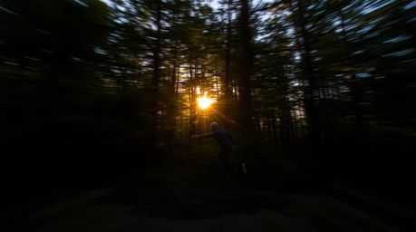 Experience the vibrant energy of a dynamic motion image showcasing a sunset filtering through a dense forest.  Blurred lines 