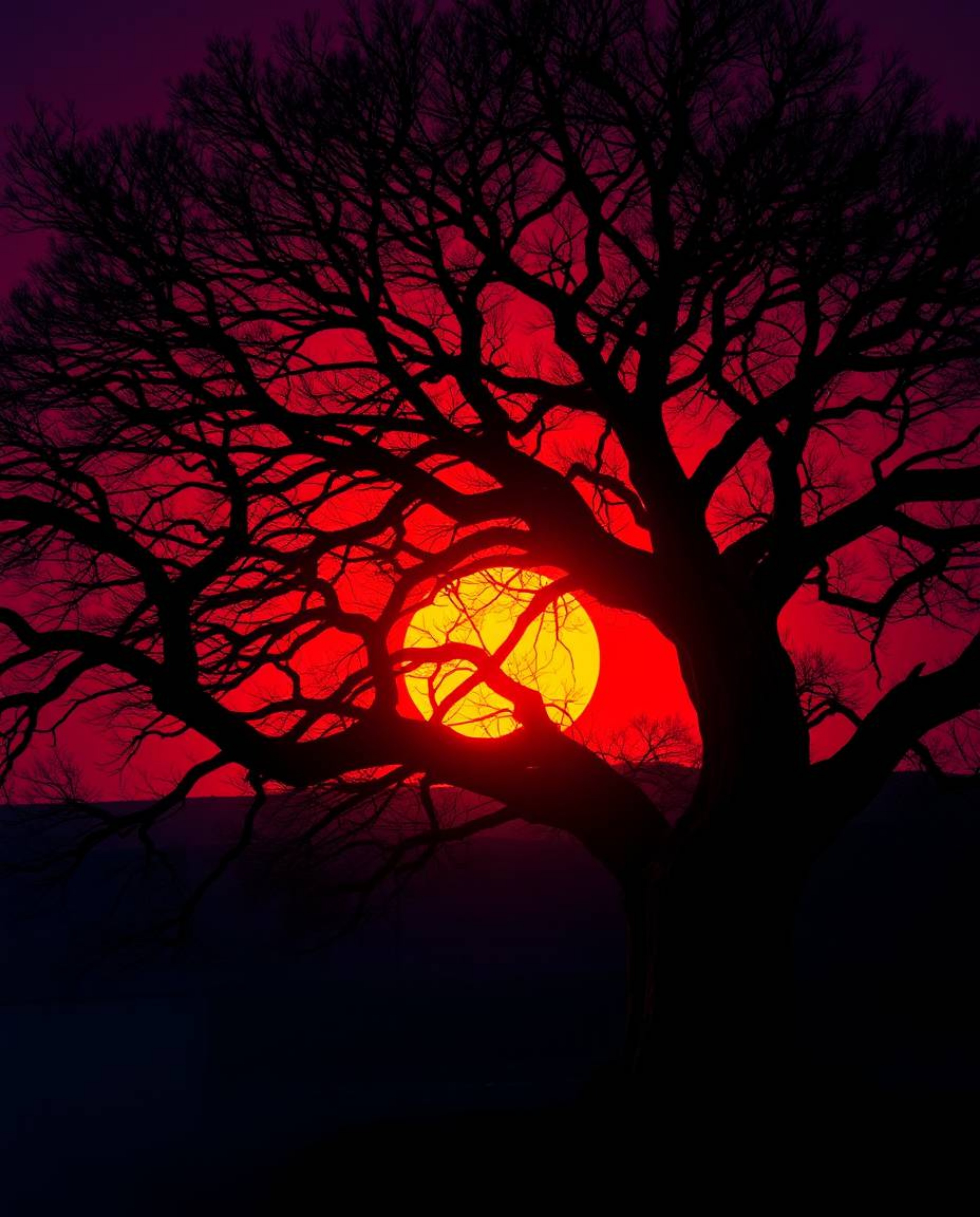 A creative light art piece depicting a sunset behind an old oak tree with twisted branches, using rich burgundy and deep blue