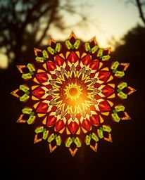 A stunning geometric floral mandala design bathed in warm golden hour light.  This dramatic, cinematic-style image features v