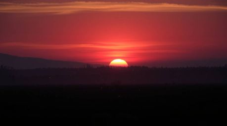 Experience the serene beauty of a quiet meadow bathed in the rich hues of a burgundy and deep blue sunset. Volumetric lightin