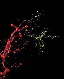 Explore stunning freeze-frame motion photography featuring dynamic and colorful splashes against a dramatic black background.