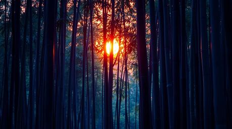 A captivating photograph showcasing a bamboo forest bathed in the warm glow of a sunset.  Cool blues, greens, and purples cre