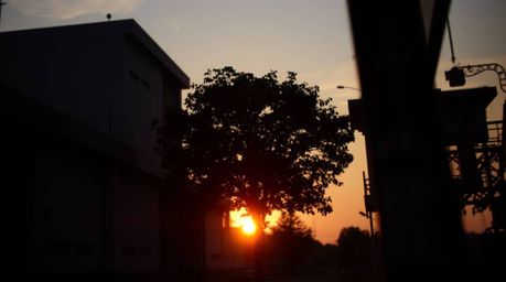 Capture the spontaneous beauty of a lone tree silhouetted against a vibrant sunset in this candid street photography image.  