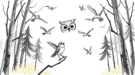 A heartwarming hand-drawn illustration in the style of Pixar, depicting a blind owl with expressive eyes teaching various bir
