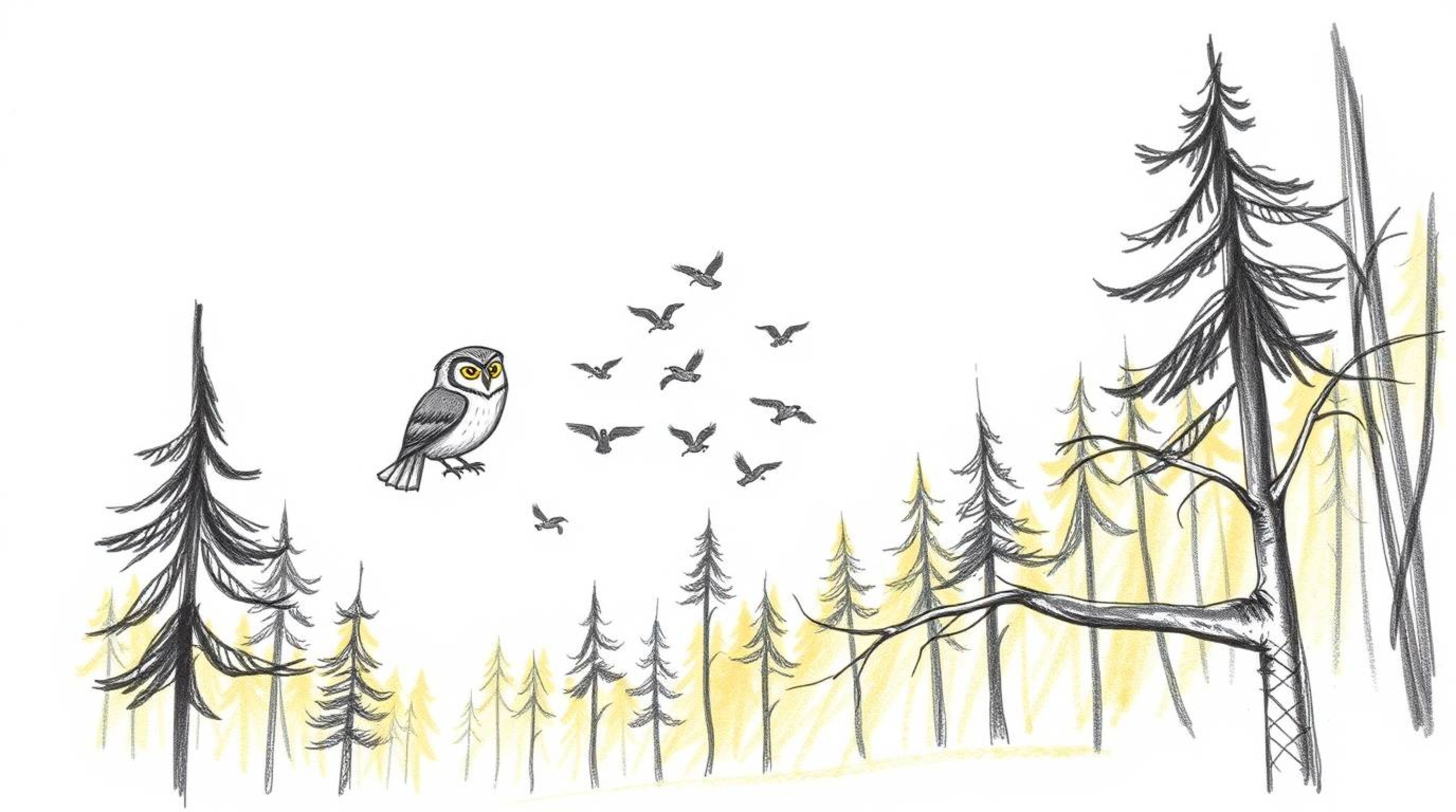 A charming hand-drawn sketch in the style of Pixar depicts a wise-looking blind owl guiding a flock of small birds in flight.