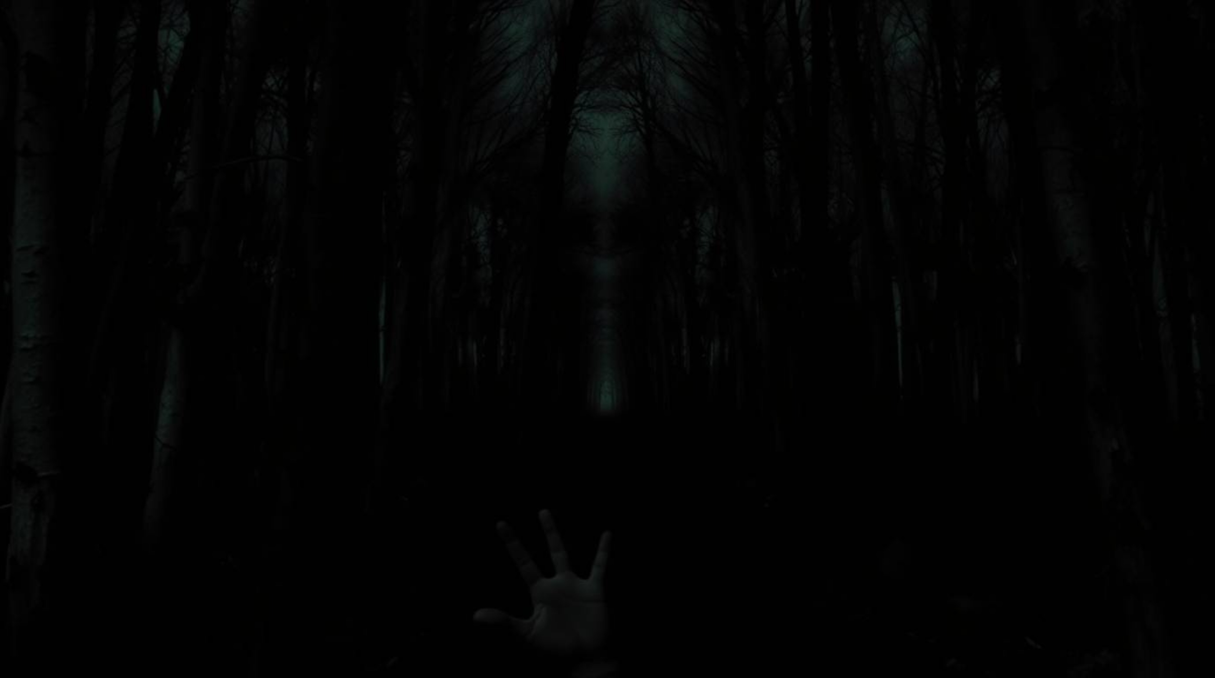 Experience a terrifying chase scene set within a looping forest, rendered in intense jet black with deep shadows and dark ton