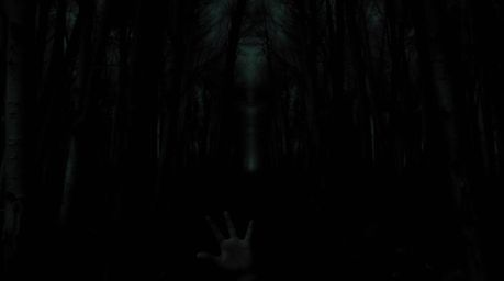 Experience a terrifying chase scene set within a looping forest, rendered in intense jet black with deep shadows and dark ton