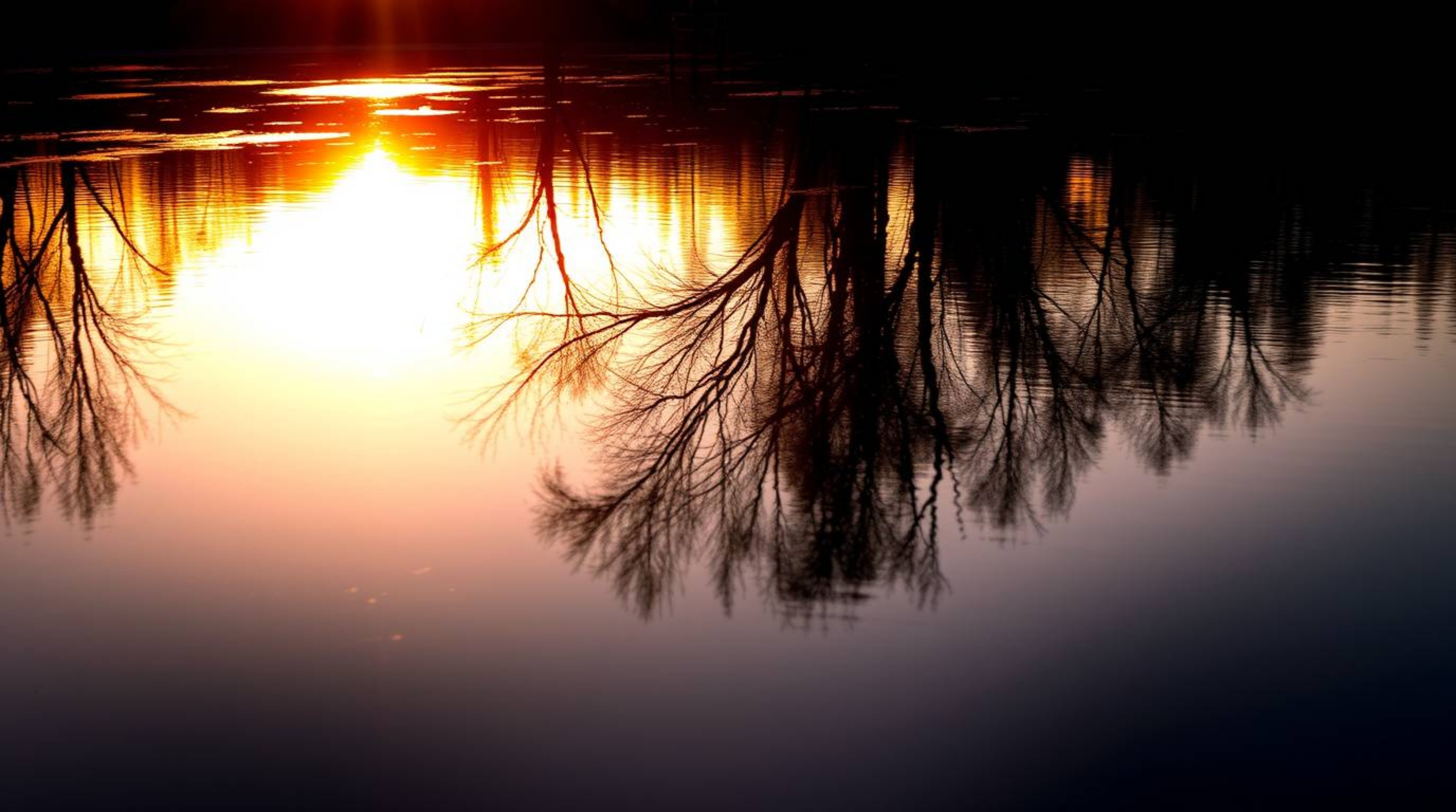 A captivating image showcases a serene pond reflecting a vibrant sunset. The high-contrast lighting creates a dramatic and t
