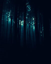 A captivating image showcasing a high-contrast, low-key lighting style applied to a close-up digital glitch effect over a det