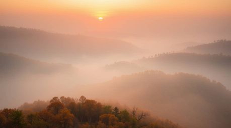 Experience the breathtaking beauty of fog-covered hills bathed in the warm glow of a setting sun. This image showcases stunni