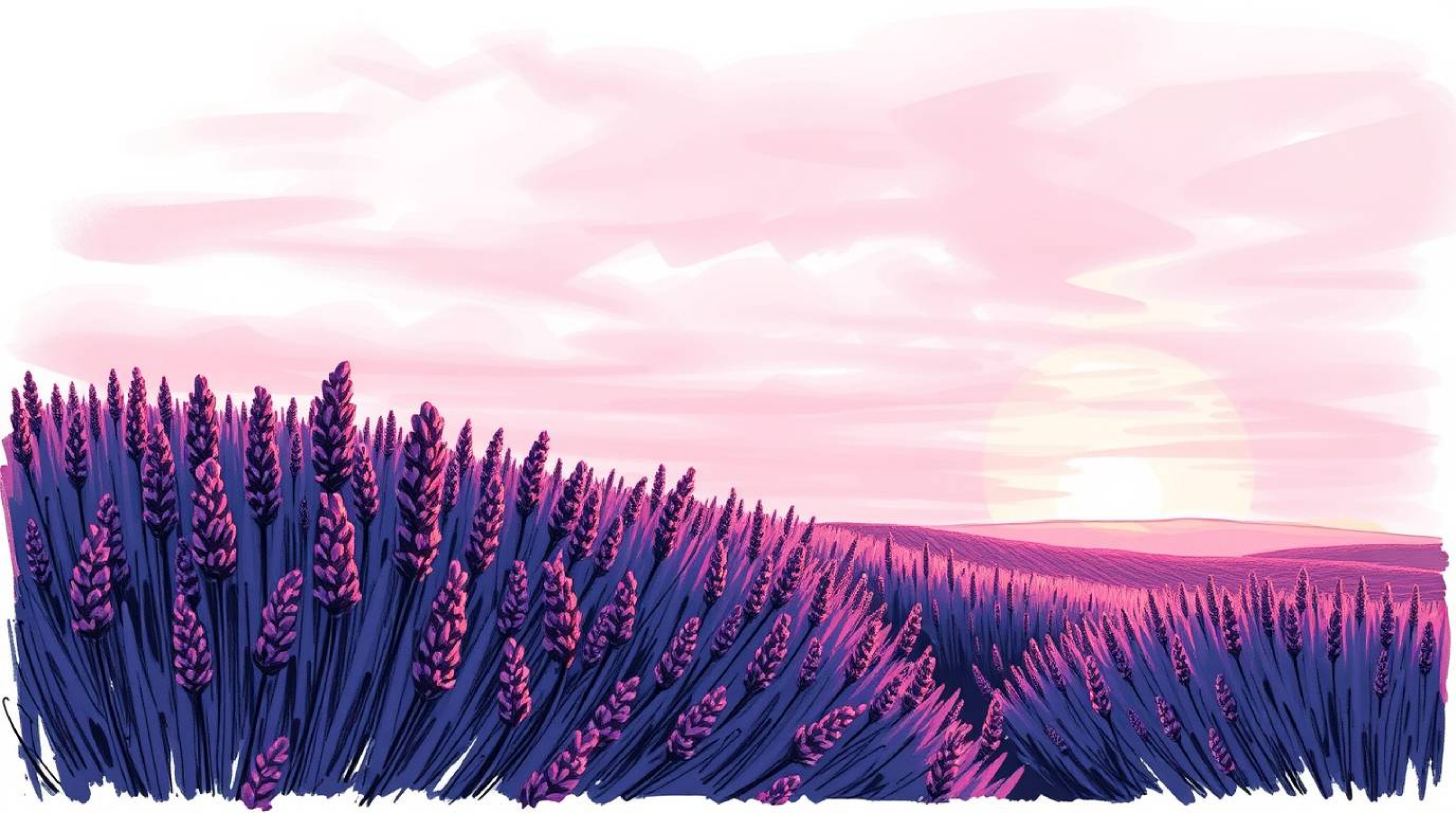 A vibrant, hand-drawn sketch in sketchnote style captures the essence of lavender fields bathed in the ethereal glow of a dre
