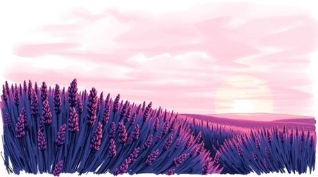A vibrant, hand-drawn sketch in sketchnote style captures the essence of lavender fields bathed in the ethereal glow of a dre