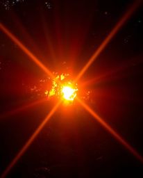 A photograph captures a sunset through a dense jungle canopy, distinguished by a distinct split bright lens flare. The image 
