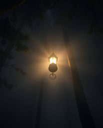 A captivating scene featuring a glowing lantern in a dark forest, enhanced by volumetric lighting and a high-angle perspectiv