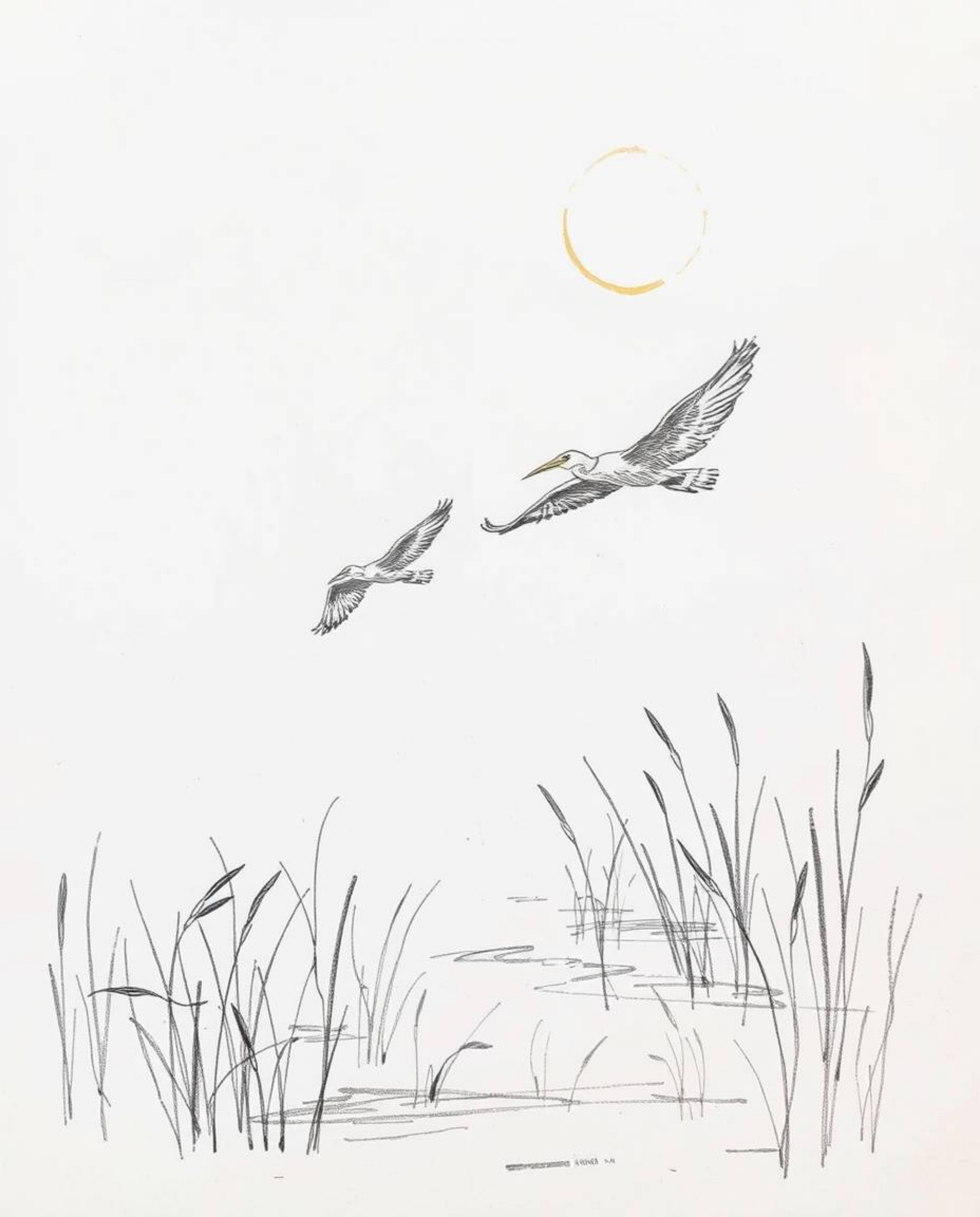 A hand-drawn sketch captures a spiritual golden hour wetlands scene, featuring herons in flight. The artwork is characterized