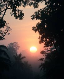 An ethereal depiction of a sunset seen through a dense jungle canopy, rendered in soft pastel colors. This artwork conveys a 
