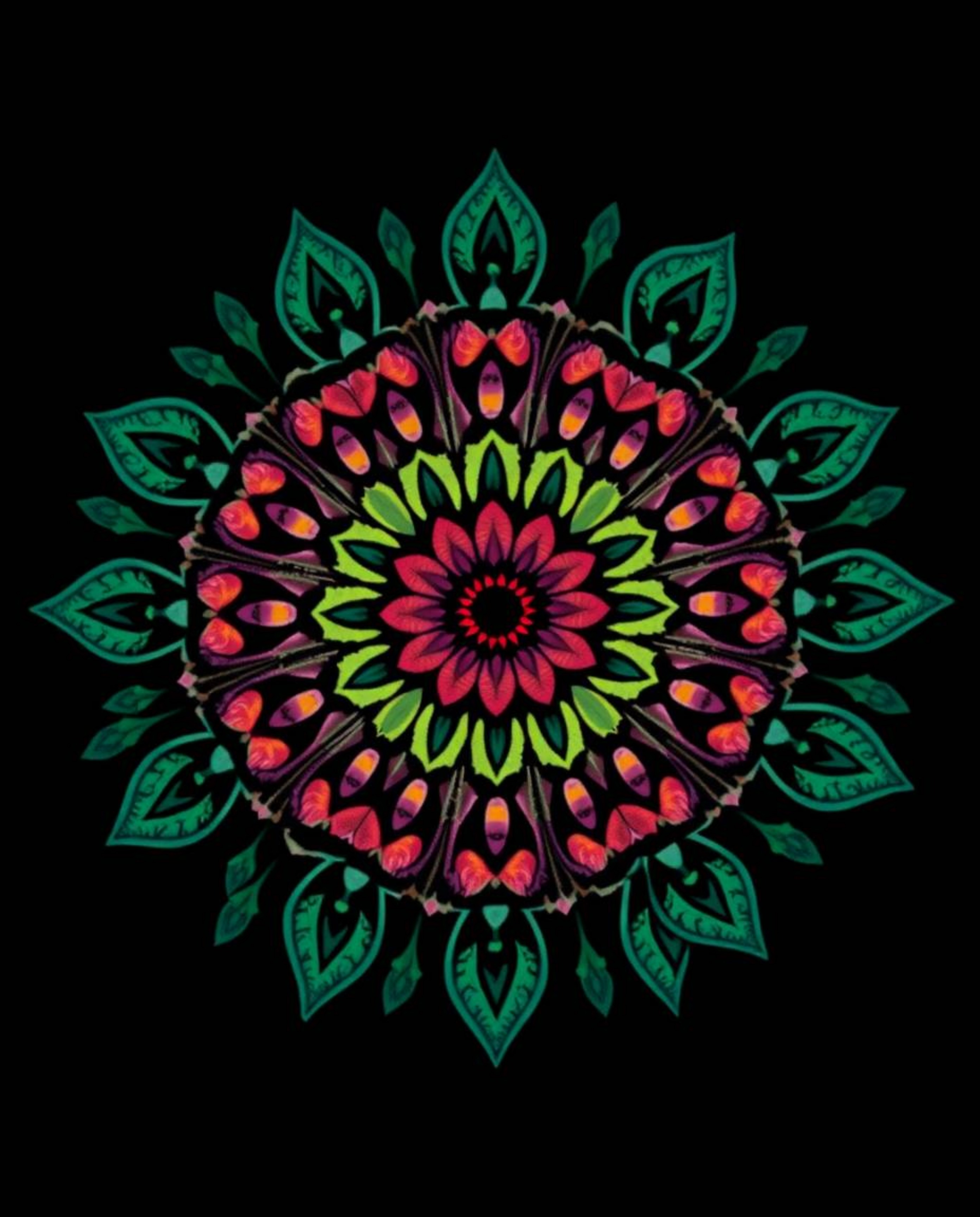 Explore captivating geometric floral mandalas featuring vibrant colors and symmetric designs contrasted with intense jet blac