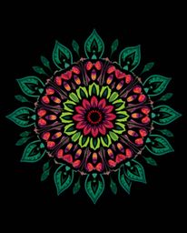 Explore captivating geometric floral mandalas featuring vibrant colors and symmetric designs contrasted with intense jet blac