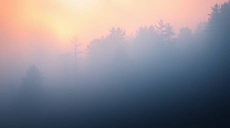 A cool color palette evokes the feeling of standing in a thick, foggy forest at golden hour.  Mist rises, creating low visibi