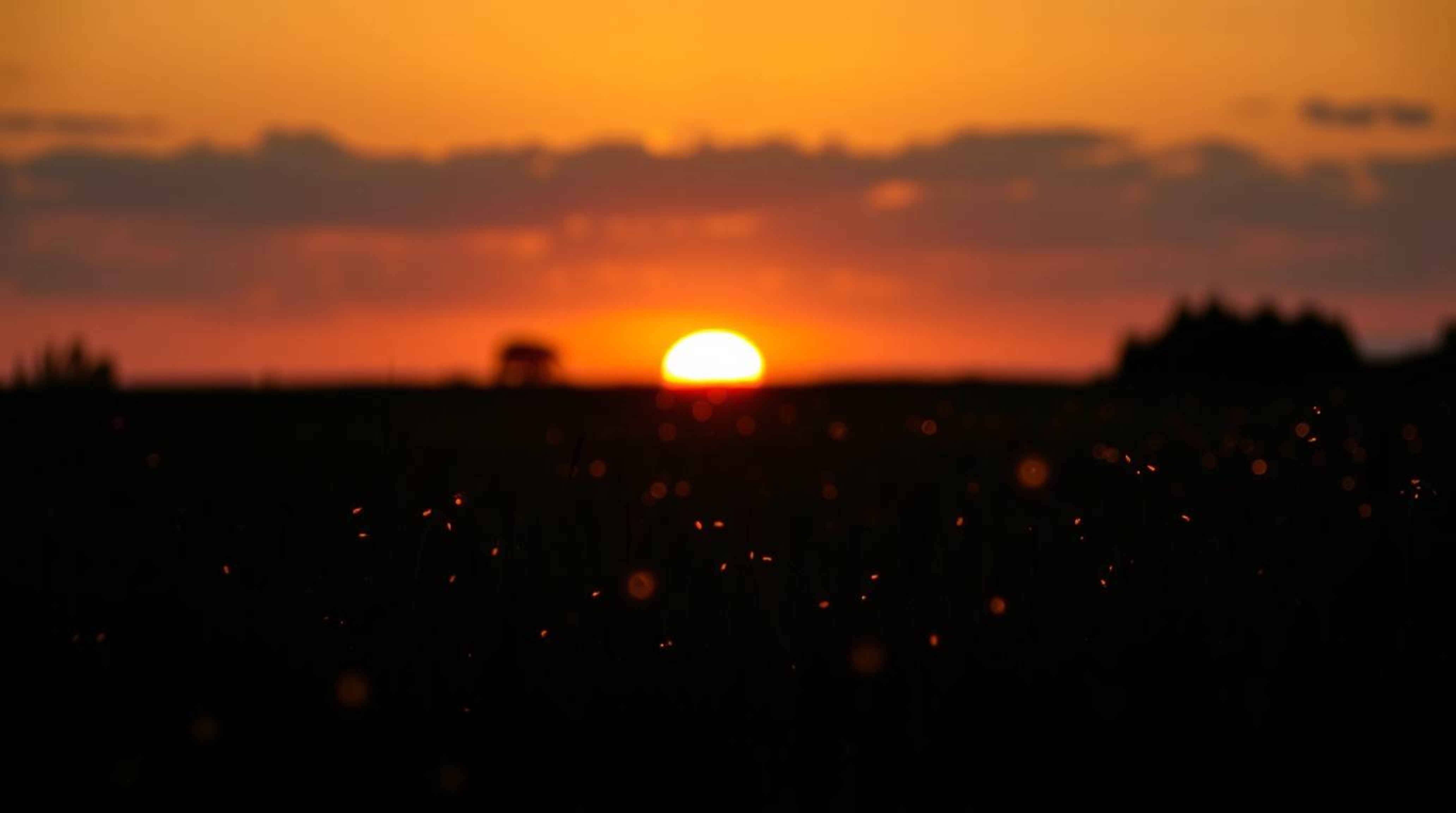 Capture the magic of dusk with this unusual and original fine art photograph.  A warm, slightly dark, and soft sunset blanket