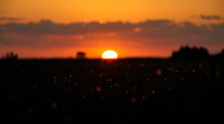 Capture the magic of dusk with this unusual and original fine art photograph.  A warm, slightly dark, and soft sunset blanket