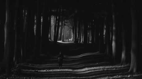 Experience a timeless and elegant chase scene set against a continuously looping forest backdrop, rendered in classic black a