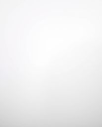 A timeless and elegant black and white photograph showcases a scene of thick fog and low visibility.  The image features a so