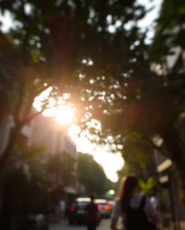 A candid street photography style image that uniquely incorporates a sunset seen through a dense jungle canopy into an urban 