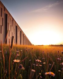 A precise architectural color photograph of a spring wildflower meadow at sunset, captured with a wide-angle lens. This image