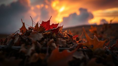 Experience the breathtaking beauty of a thunderstorm illuminated by a vibrant sunset in this extreme macro close-up.  Warm au