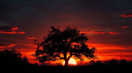 A captivating image of a lone tree silhouetted against a fiery sunset.  The scene evokes an eerie yet vibrant atmosphere, sho