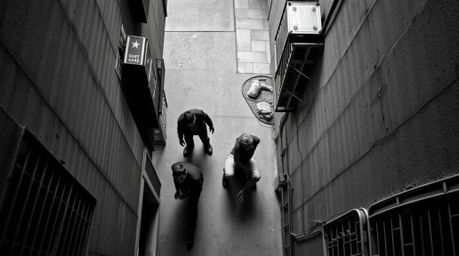 A classic black and white overhead bird's eye view captures a grungy city alley teeming with rebellious teens. The timeless a