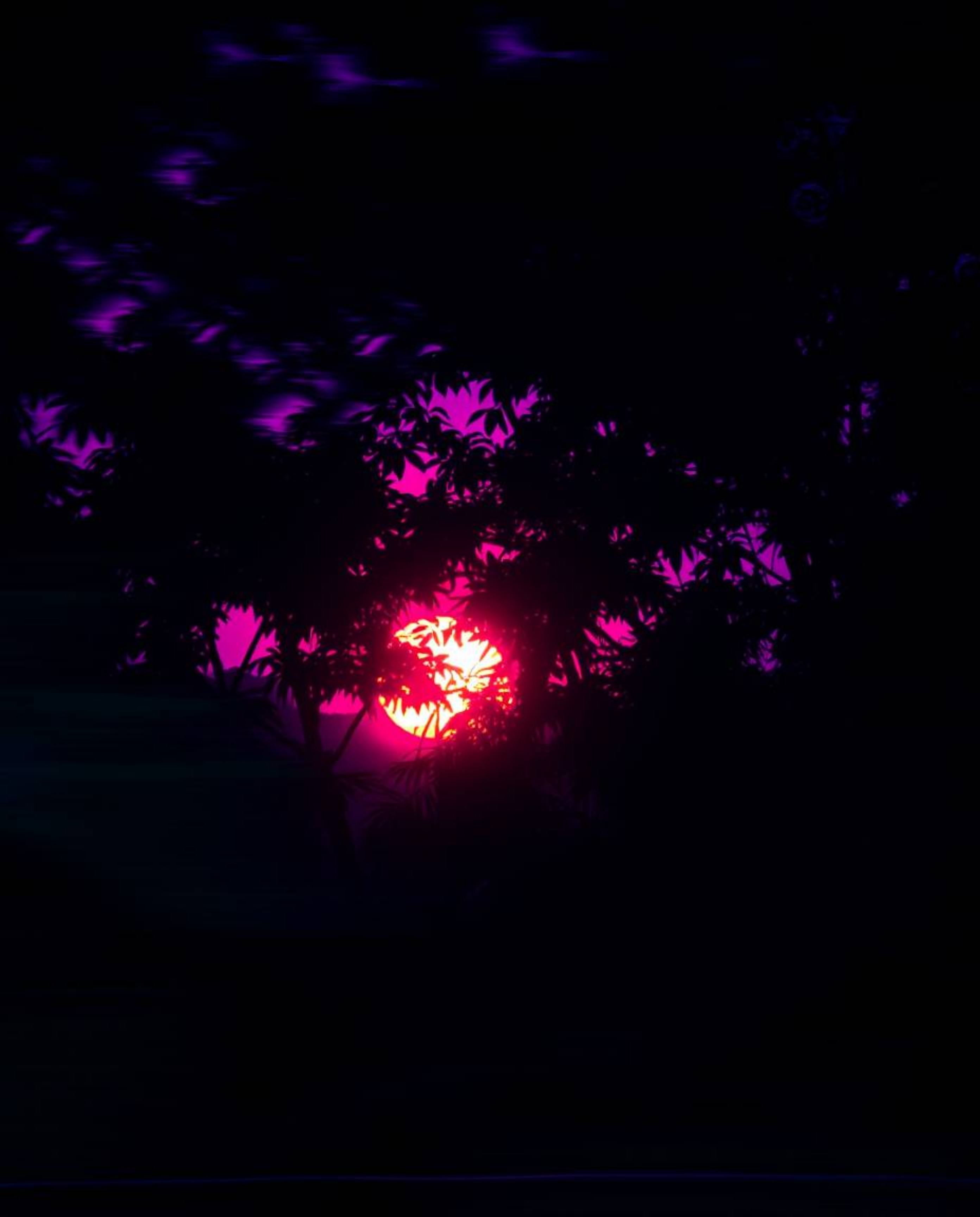 A long exposure photograph capturing a sunset through a dense jungle canopy, bathed in deep ultraviolet hues. This image is c
