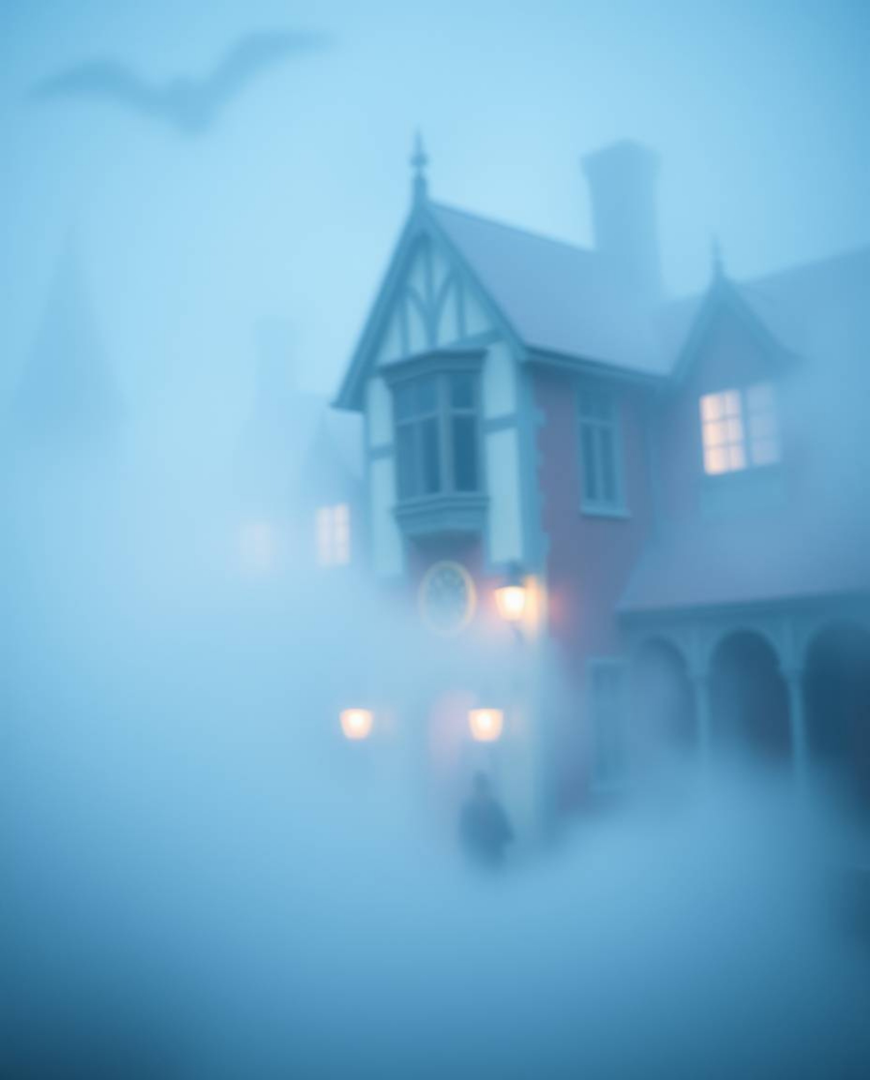 Discover the magic! Immerse yourself in a captivating image of a magical school shrouded in thick fog, featuring young wizar