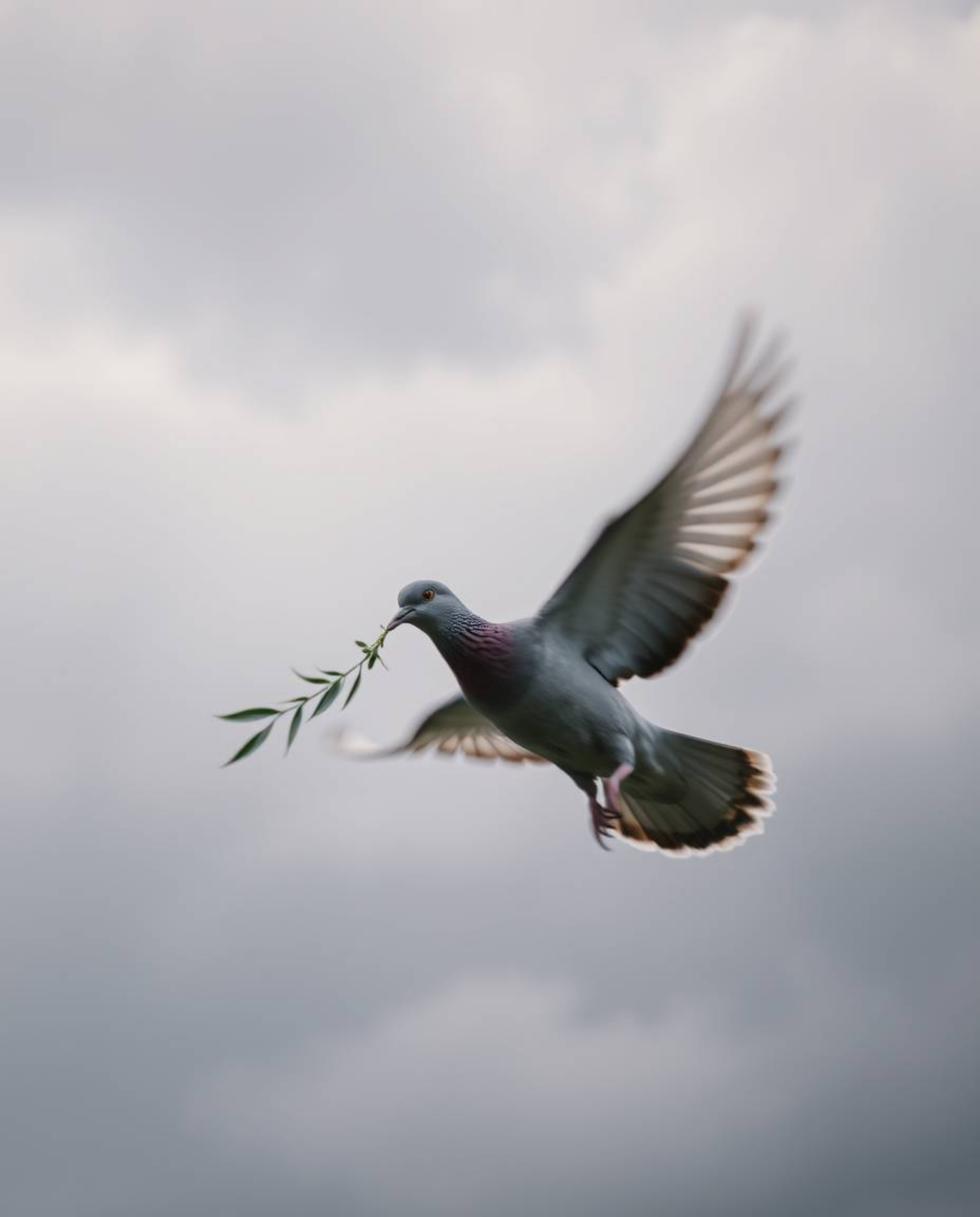 A dynamic motion photograph capturing a dove, its movement blurred, carrying an olive branch as it soars through a stormy sky