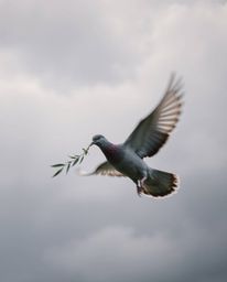 A dynamic motion photograph capturing a dove, its movement blurred, carrying an olive branch as it soars through a stormy sky