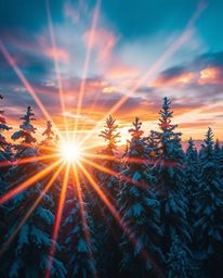 This is a piece of dreamlike, surreal imagery depicting sunset light sparkling on snowy pine trees. The scene is characterize
