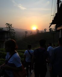 This image captures a sunset over terraced tea plantations in the style of candid street photography, creating a mystic and e