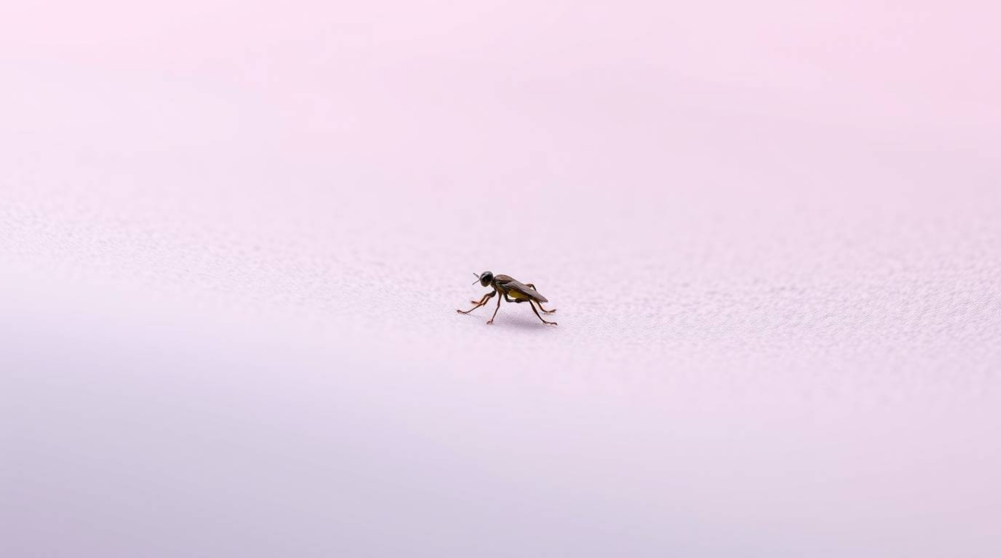 Explore the captivating world of extreme macro photography rendered in a modern flat design style.  These images showcase sim
