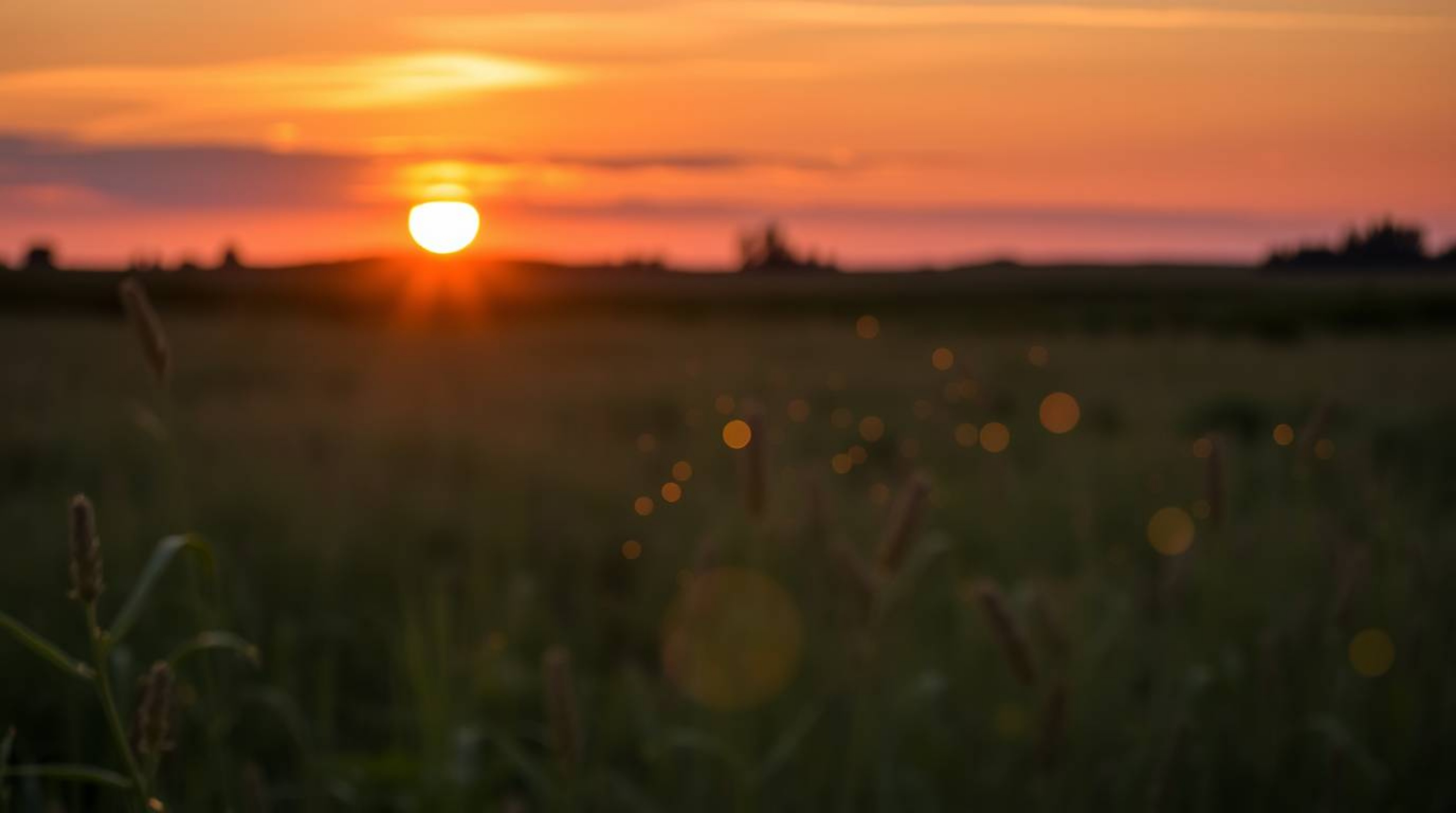 A captivating long exposure photograph showcases a serene sunset over a quiet meadow, magically illuminated by the ethereal g