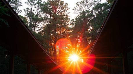 A precise architectural color photograph captures a stunning sunset scene where light filters through a dense forest, produci