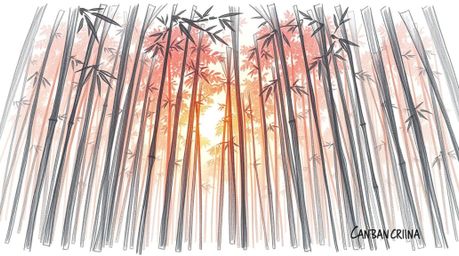 A captivating hand-drawn sketch of a massive, heroic bamboo forest, bathed in the warm hues of a setting sun.  Epic lens glow