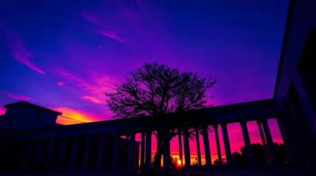 A captivating image showcasing architectural color photography with deep ultraviolet hues. A lone tree stands silhouetted aga