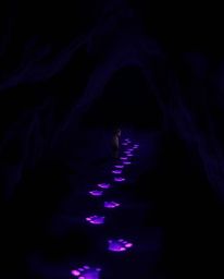 Immerse yourself in an eerie and creepy atmosphere where a child follows a trail of dimly glowing, purple footsteps into a da