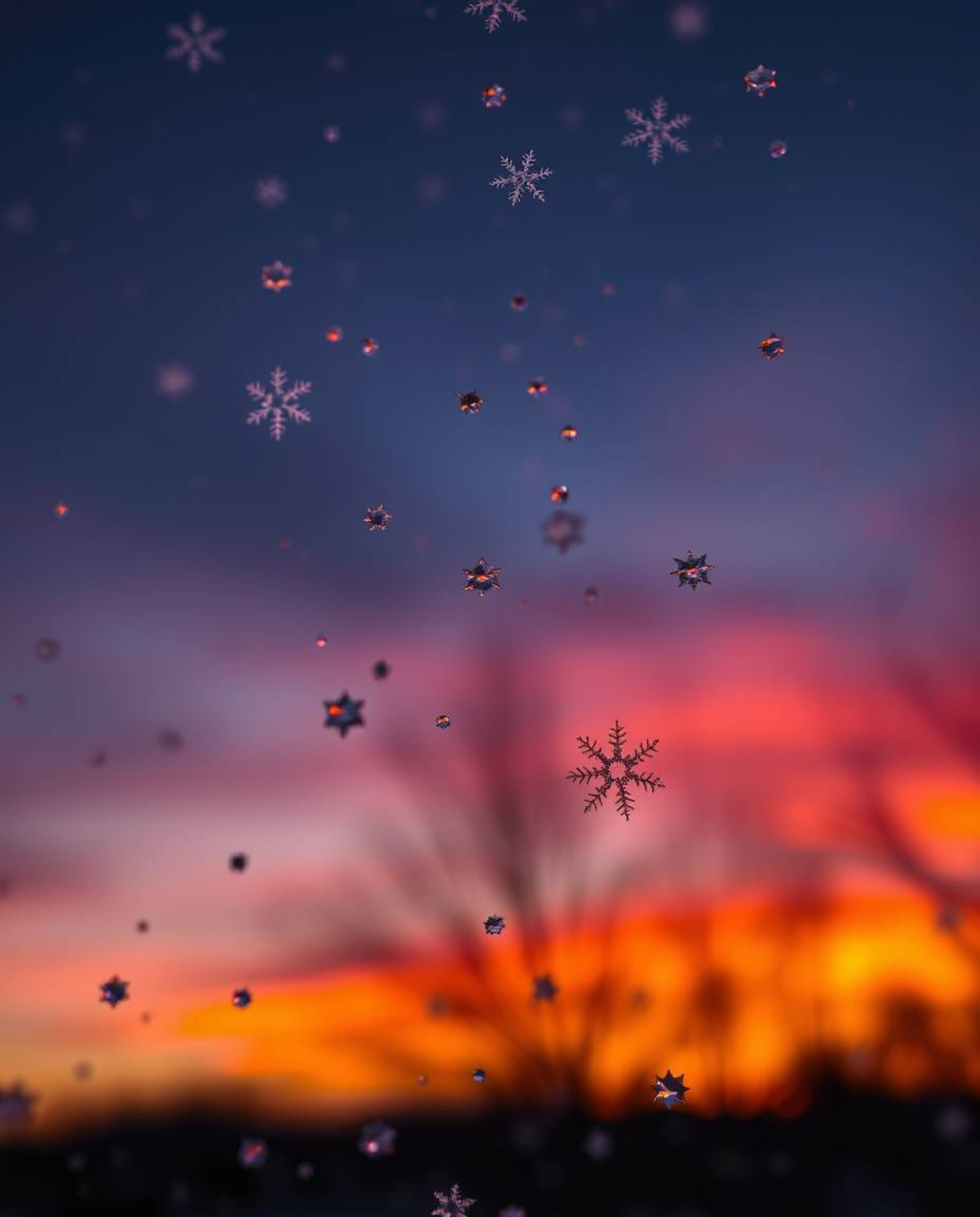 A graceful and elegant scene captures snowflakes falling during a vibrant sunset. The image is defined by its intense dramati