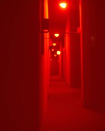 A soft, dreamy photograph bathed in warm reds, oranges, and yellows, depicts a pair of eyes watching intently from the shadow