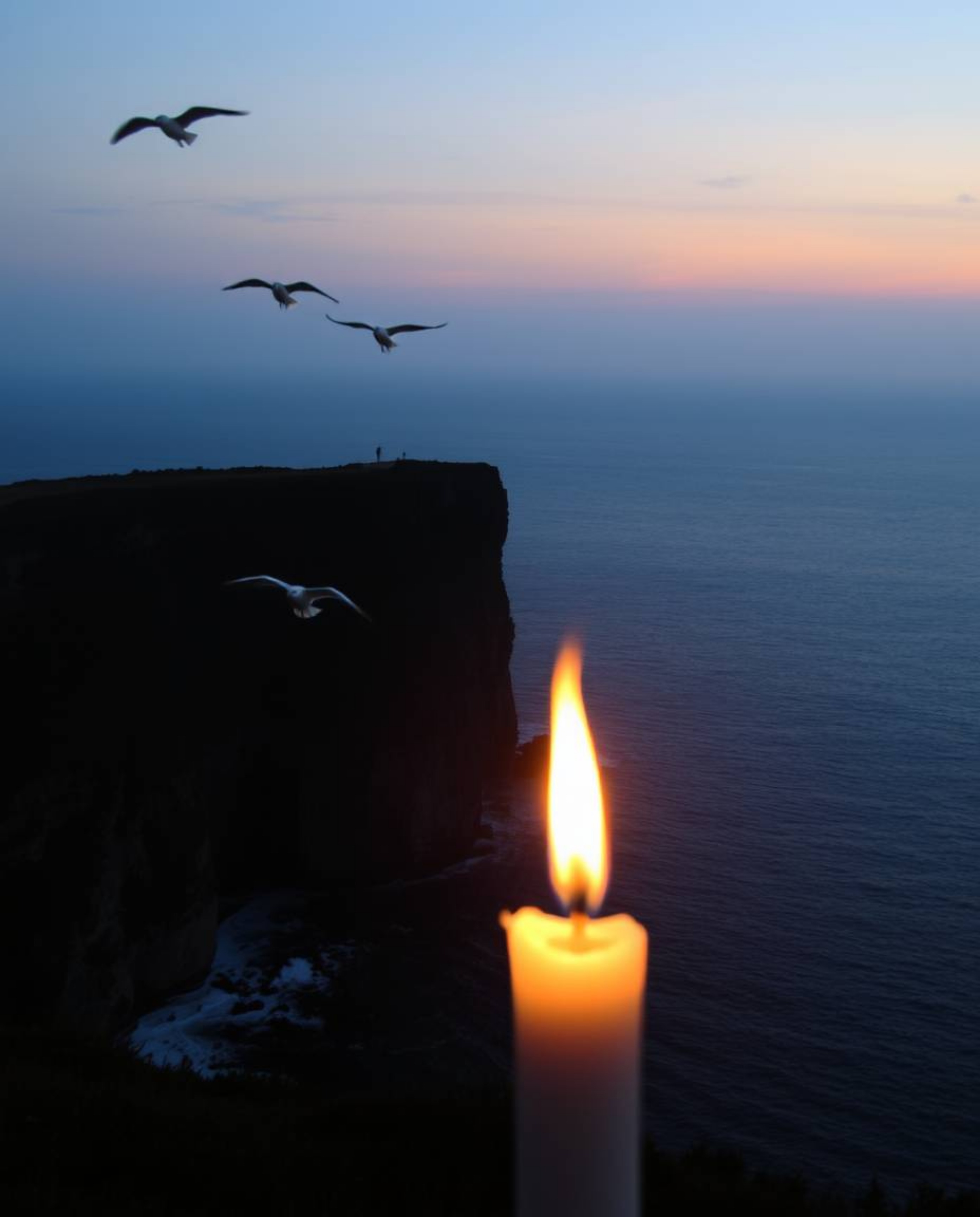 This image depicts a beautiful sunset over a coastal cliff, with soaring birds adding to the scenic view. The scene is unique